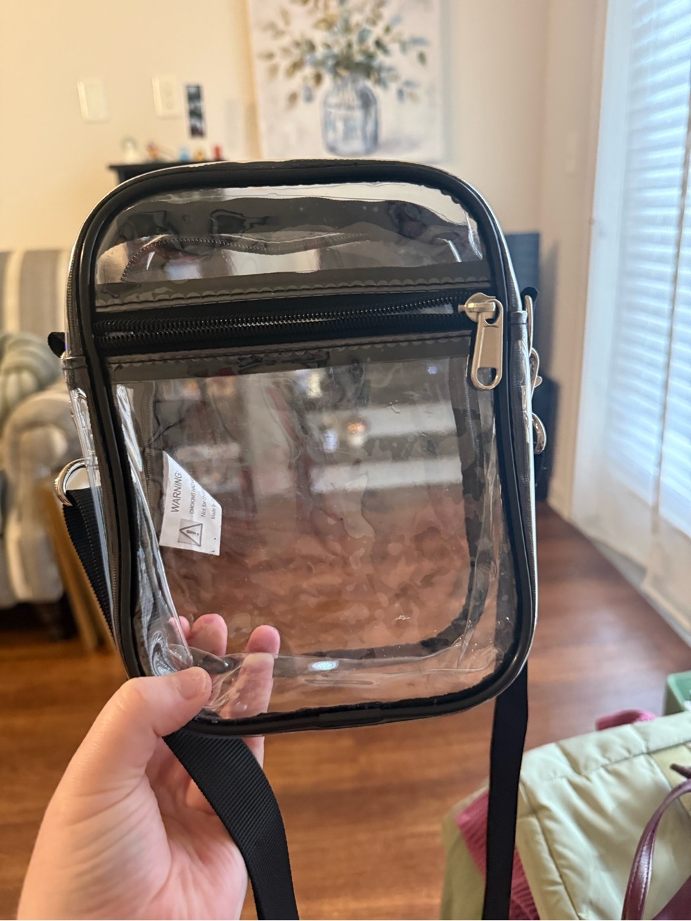 Clear Crossbody Bag with Black Trim